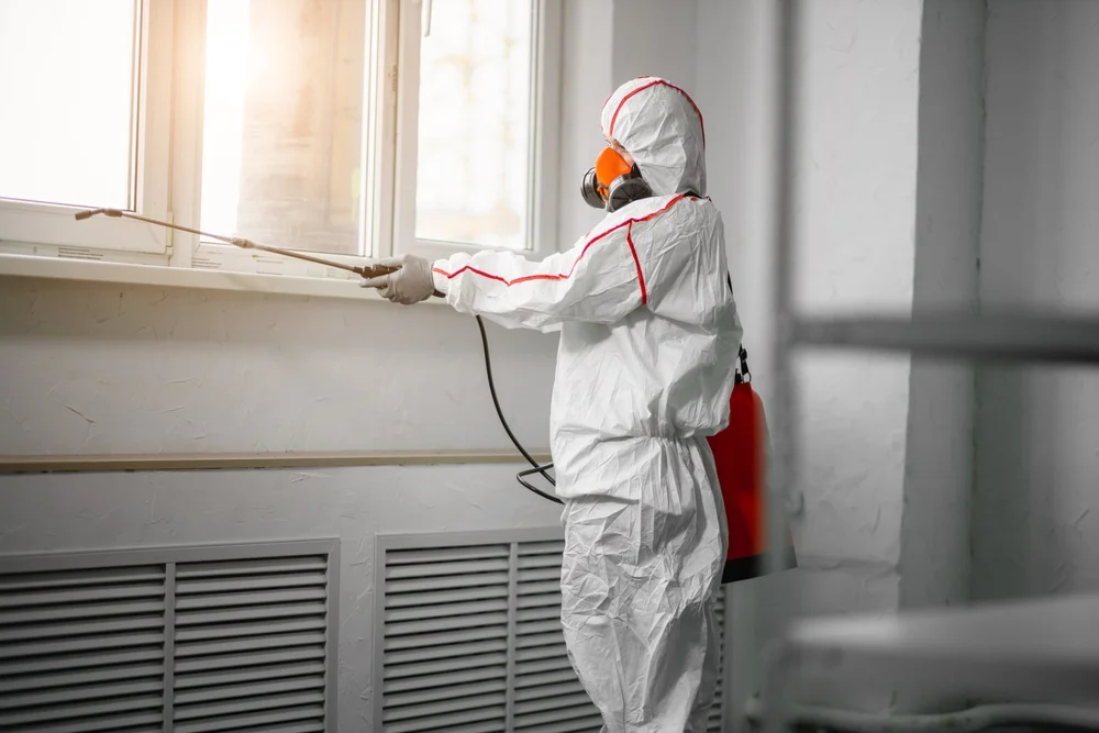Professional mold remediation services in Virginia City, NV